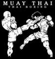 Словарь терминов муай-тай 