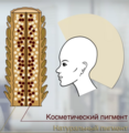 Блондирующее мытье волос что это. Смотреть фото Блондирующее мытье волос что это. Смотреть картинку Блондирующее мытье волос что это. Картинка про Блондирующее мытье волос что это. Фото Блондирующее мытье волос что это